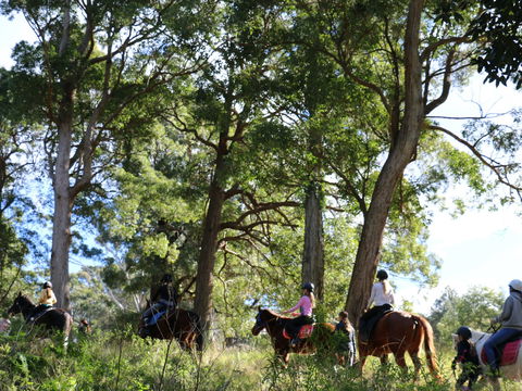 The Outlook Riding Academy - Tourism Caloundra 0