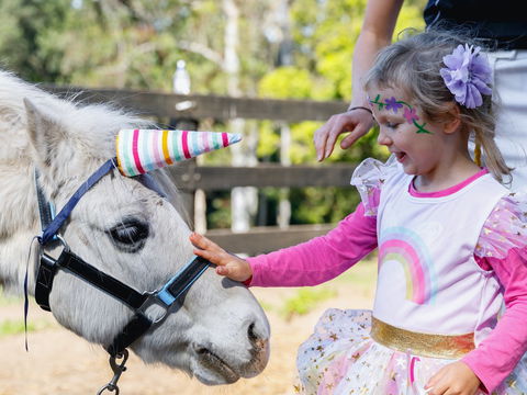 The Outlook Riding Academy - Tourism Caloundra 1