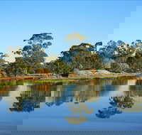 The Gums - Tourism Caloundra