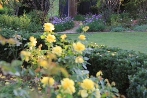 The Bath House Garden - Tourism Caloundra 1