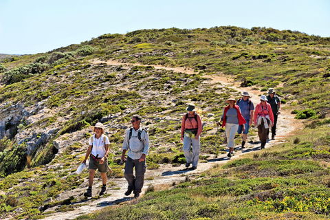 The Sole Walk At Hillocks Drive - Tourism Caloundra 0