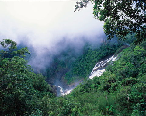 Tully Falls And Tully Gorge - Tourism Caloundra 0