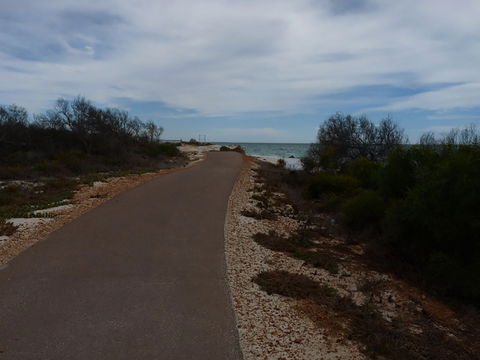 Turquoise Way Trail, Jurien Bay - Tourism Caloundra 0