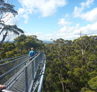 Walpole-Nornalup National Park - Tourism Caloundra