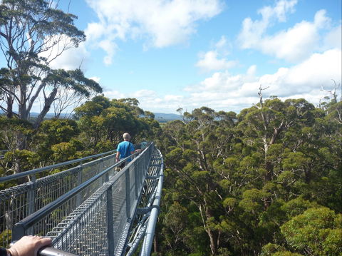 Walpole-Nornalup National Park - Tourism Caloundra 0