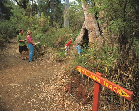 Walpole-Nornalup National Park - Tourism Caloundra 1