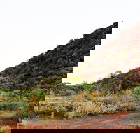 Whyalla Conservation Park - Tourism Caloundra