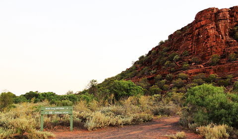Whyalla Conservation Park - Tourism Caloundra 0