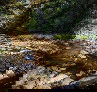 Wilson River picnic area - Tourism Caloundra