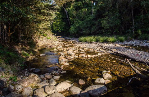 Wilson River Picnic Area - Tourism Caloundra 0