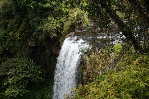 Zillie Falls - Tourism Caloundra 0