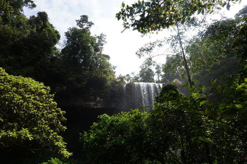 Zillie Falls - Tourism Caloundra 1