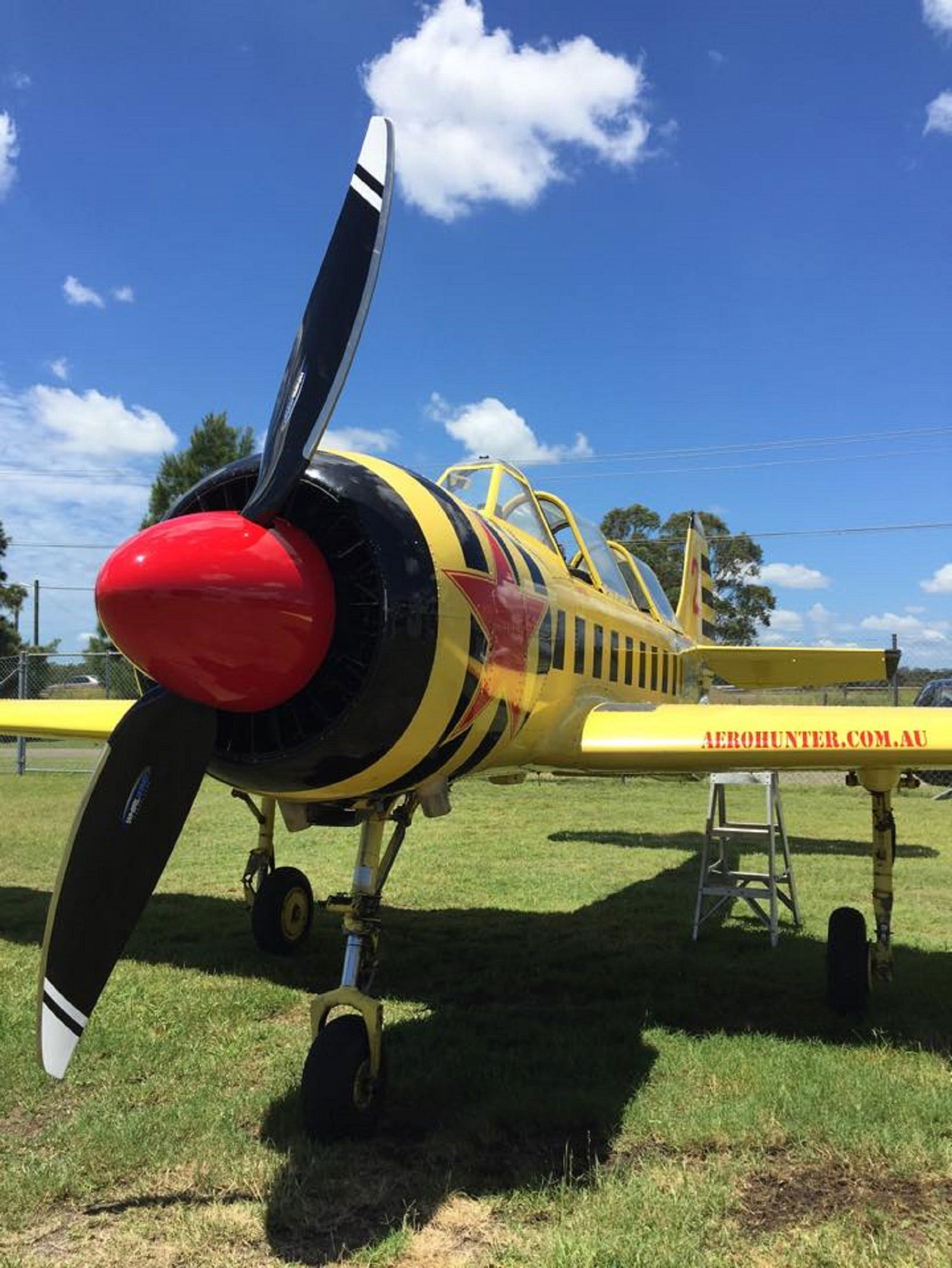 Bolwarra NSW Tourism Caloundra