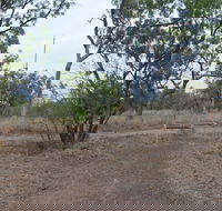 Alexander Forest Memorial - Tourism Caloundra