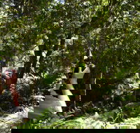 Alfred National Park - Tourism Caloundra