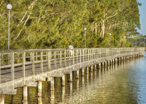 Apex Park Picnic Area Narooma - Tourism Caloundra 1