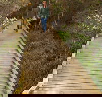 Balcombe Creek Estuary Boardwalk - Tourism Caloundra