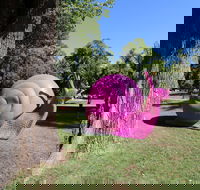 Belmore Park - Tourism Caloundra
