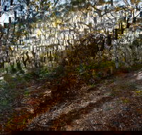 Booderee National Park Munyunga Waraga Dhugan Walking Trail - Tourism Caloundra