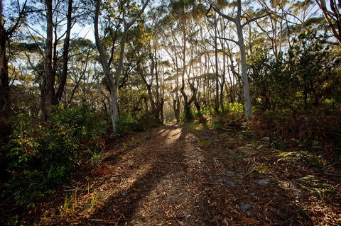 Booderee National Park: Munyunga Waraga Dhugan Walking Trail - Tourism Caloundra 0