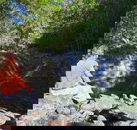 Booloumba Falls Walk Conondale National Park - Tourism Caloundra