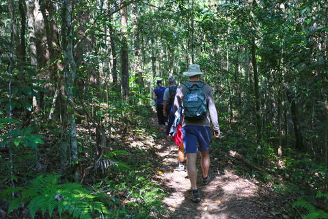 Booloumba Falls Walk, Conondale National Park - Tourism Caloundra 1