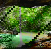 Buderim - Tourism Caloundra