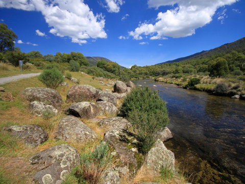 Bullocks Walking Track - Tourism Caloundra 1
