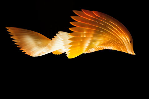 Bunjilaka Aboriginal Cultural Centre - Tourism Caloundra 1