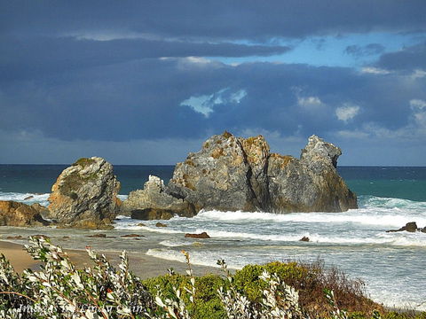 Camel Rock - Tourism Caloundra 2
