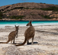 Cape Le Grand National Park - Tourism Caloundra