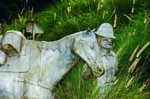 Centenary Park - Tourism Caloundra 0