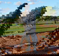 Cobar Miners Heritage Park - Tourism Caloundra