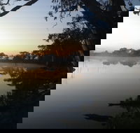Cockatoo Lake Recreation Reserve - Tourism Caloundra