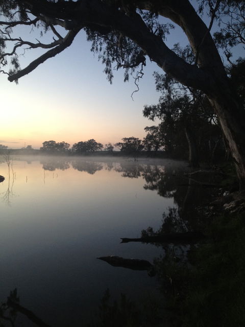 Cockatoo Lake Recreation Reserve - Tourism Caloundra 0