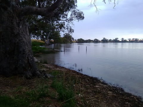 Cockatoo Lake Recreation Reserve - Tourism Caloundra 1