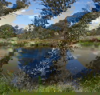 Cooleman Ridge - Tourism Caloundra