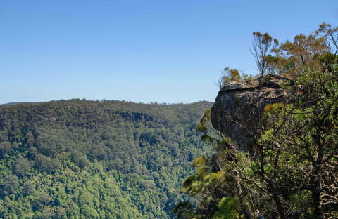 Cooks Nose Walking Track - Tourism Caloundra 0