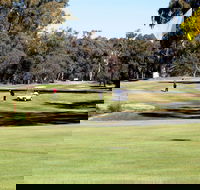 Deniliquin Golf Club - Tourism Caloundra