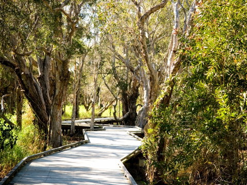 Eagleby Wetlands - Tourism Caloundra 1
