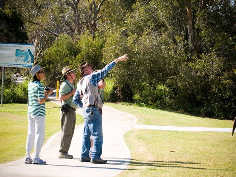 Eagleby Wetlands - Tourism Caloundra 2