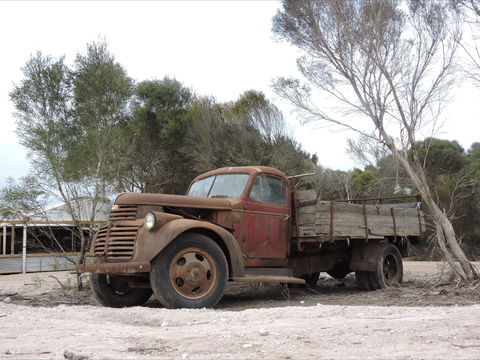 Emu Ridge Eucalyptus Pty Ltd - Tourism Caloundra 2