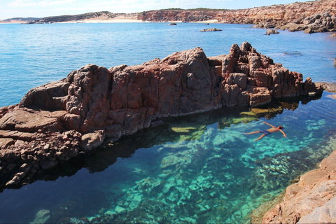 Eyre Peninsula - Tourism Caloundra 0