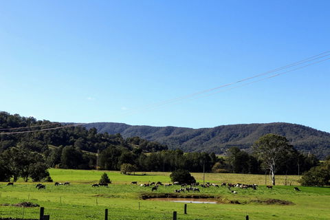 Farm Visit  Dungog - Tourism Caloundra 1
