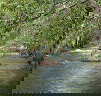 Florence Creek walk - Tourism Caloundra