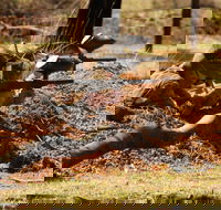Freycinet Paintball and Campground - Tourism Caloundra