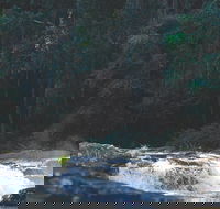 Gardners Falls - Tourism Caloundra