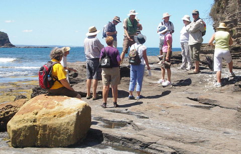 Gondwana Coast Fossil Walk - Tourism Caloundra 0