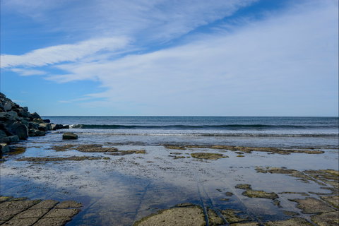 Gondwana Coast Fossil Walk - Tourism Caloundra 1