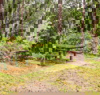 Goodenia Rainforest picnic area - Tourism Caloundra